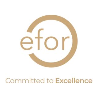Efor Group