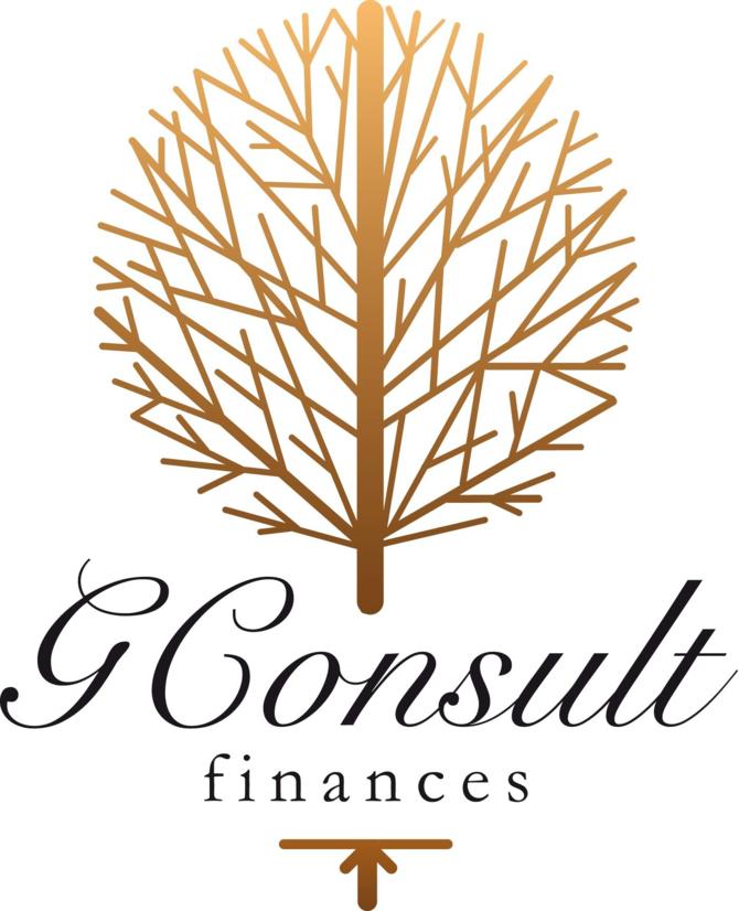 G Consult Finances