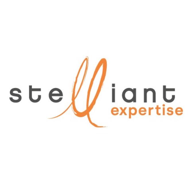 Stelliant Expertise