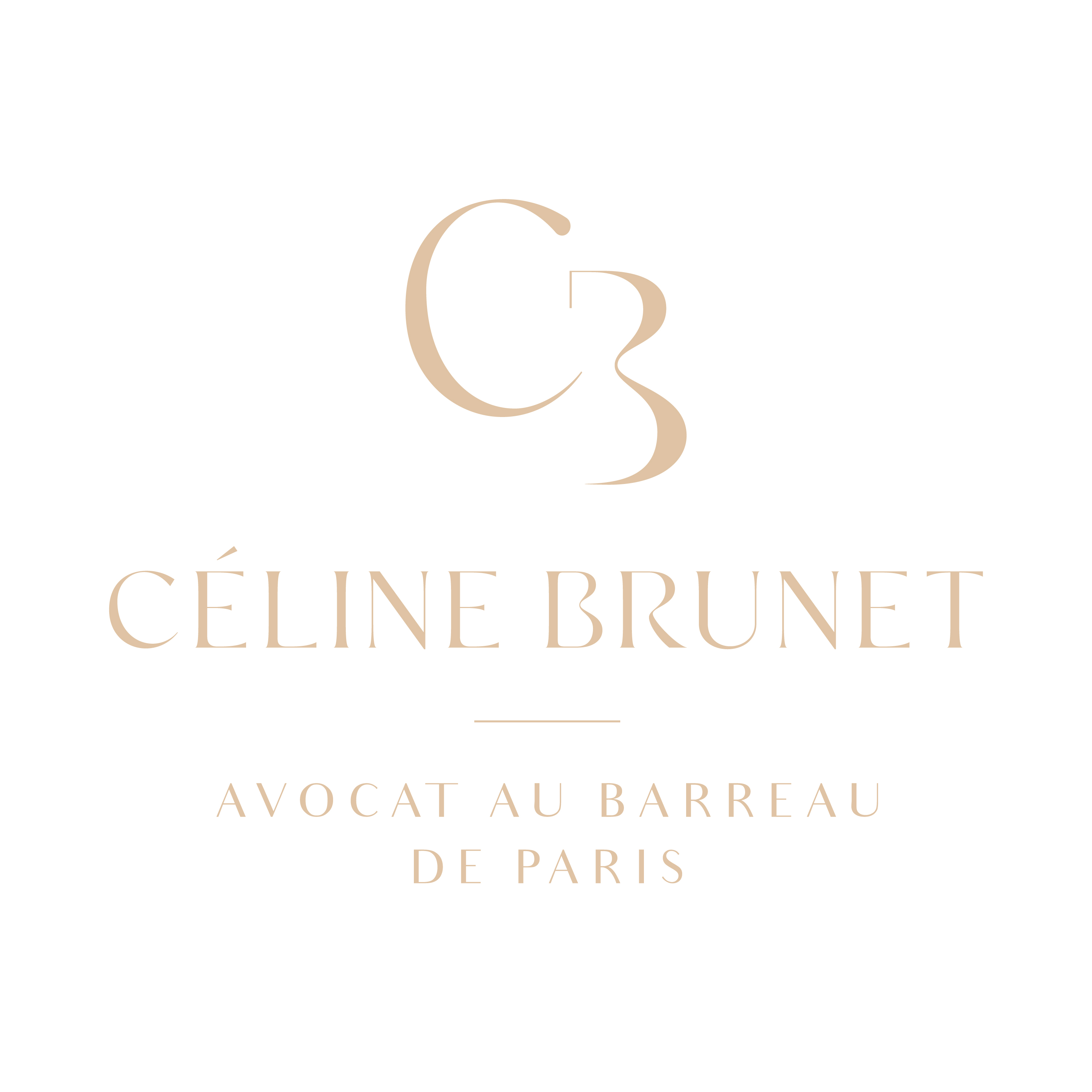 Brunet Avocat